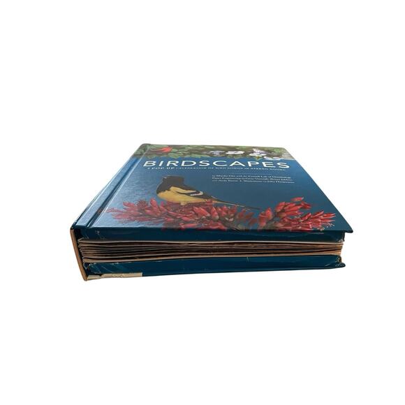 Birdscapes Pop Up Book Celebration of Bird Songs in Stereo M. Chu & Cornell Labs - Picture 3 of 14